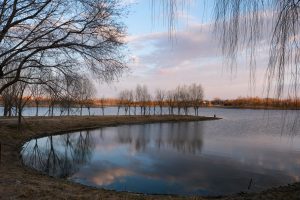 白浮泉的初春：在倒影里等一场春天-YiMeng