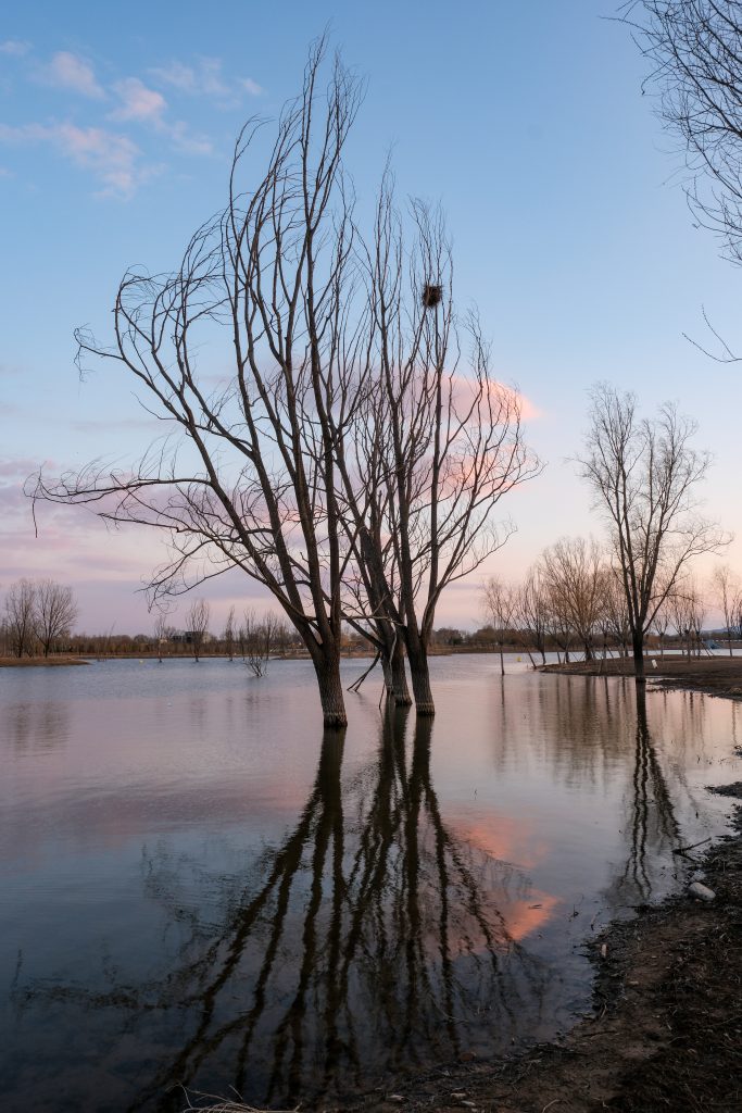 图片[2]-白浮泉的初春：在倒影里等一场春天
